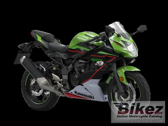 Kawasaki Ninja 125 Performance