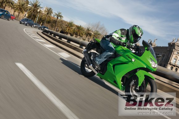 Kawasaki Ninja 250R