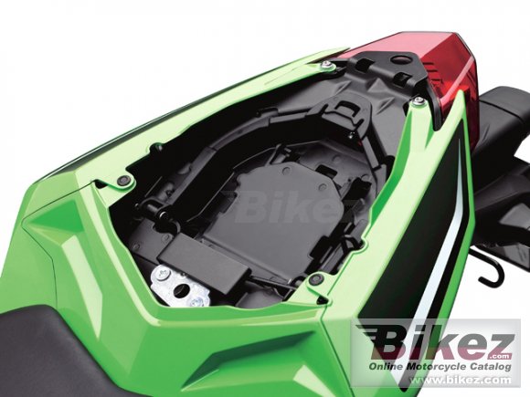 Kawasaki Ninja 300 ABS