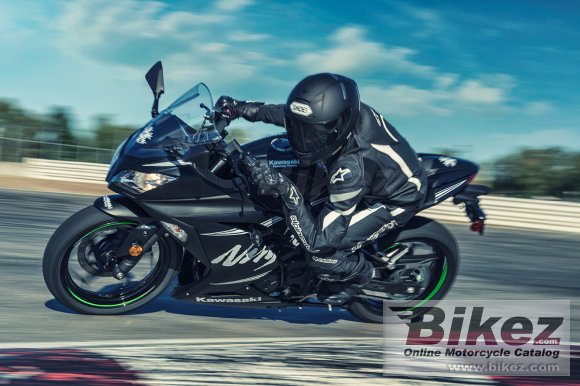 Kawasaki Ninja 300 ABS Winter Test Edition