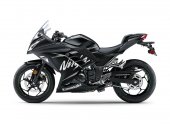 Kawasaki Ninja 300 ABS Winter Test Edition