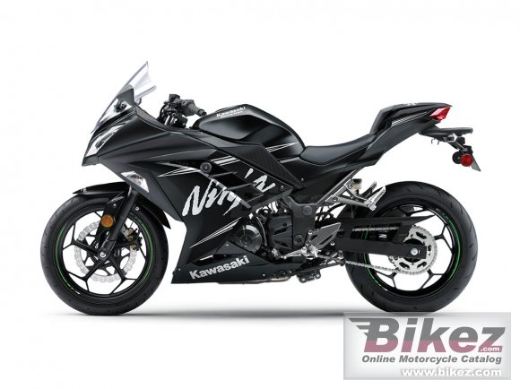 Kawasaki Ninja 300 ABS Winter Test Edition