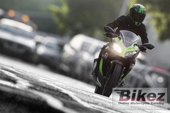 Kawasaki Ninja 300 KRT Edition