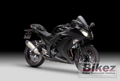 Kawasaki Ninja 300 Performance