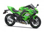 Kawasaki_Ninja_650_Performance_2025