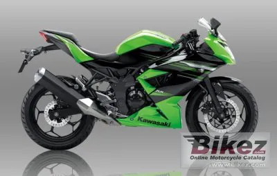 Kawasaki Ninja RR Mono