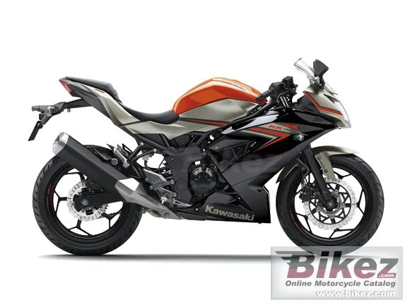 Kawasaki Ninja RR Mono