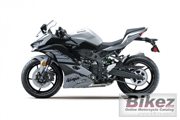 Kawasaki Ninja ZX-4RR 