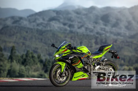 Kawasaki Ninja ZX-4RR KRT