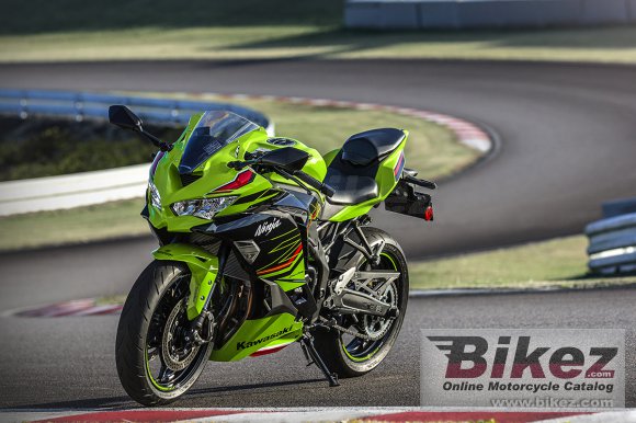 Kawasaki Ninja ZX-4RR KRT