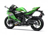 Kawasaki Ninja ZX-4RR Performance