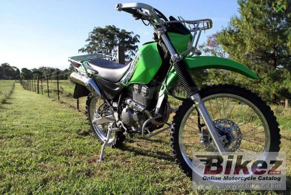 Kawasaki Stockman 250