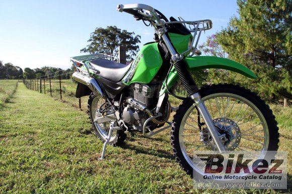 Kawasaki Stockman 250