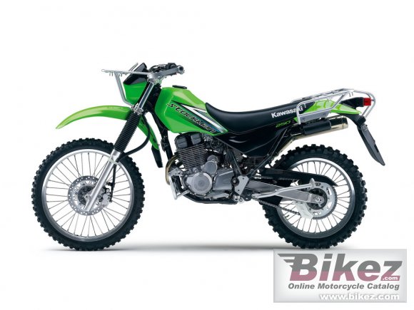 Kawasaki Stockman 250