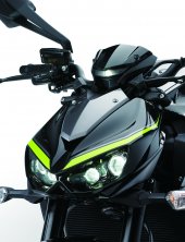 Kawasaki Z1000 R Edition