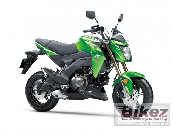 Kawasaki Z125 Pro