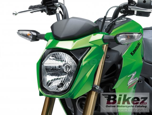 Kawasaki Z125 Pro