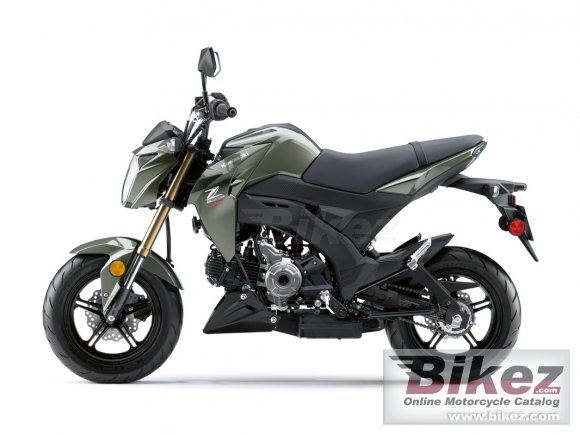 Kawasaki Z125 Pro