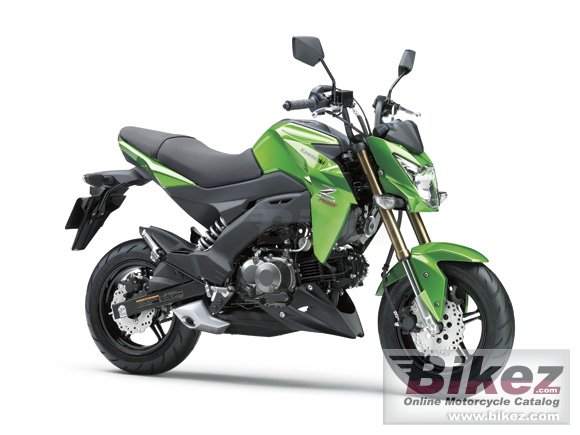 Kawasaki Z125 Pro