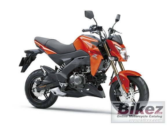 Kawasaki Z125 Pro