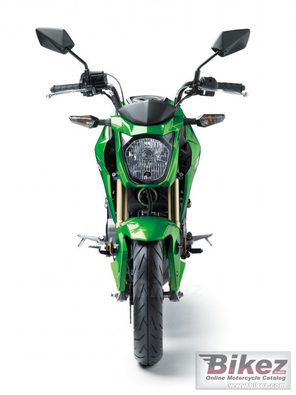 Kawasaki Z125 Pro