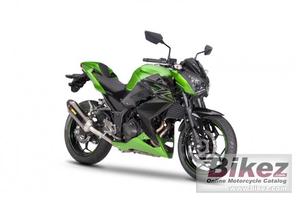 Kawasaki Z300 Performance