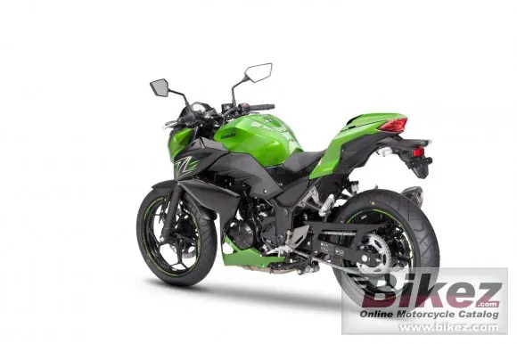 Kawasaki Z300 Performance