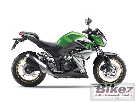 Kawasaki Z300 Special Edition