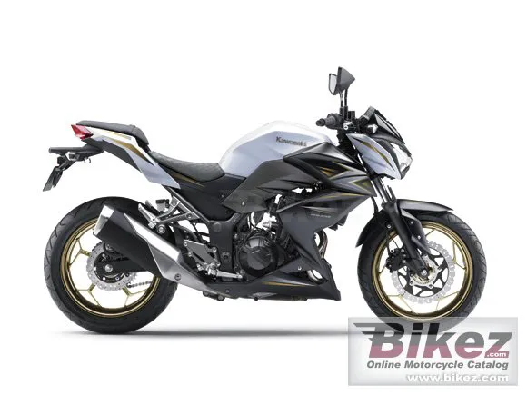 Kawasaki Z300 Special Edition