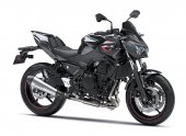 Kawasaki_Z650_Performance_2025