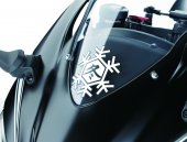 Kawasaki_ZX-10R_Winter_Test_Edition_2016