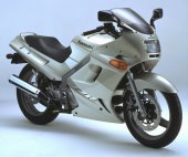 Kawasaki_ZZ-R_250_2002