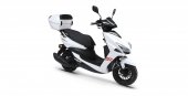 Kuba Pesaro 50