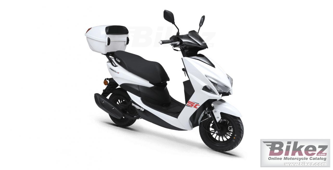 Kuba Pesaro 50