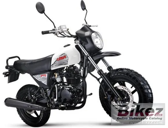 Lifan LF100-C