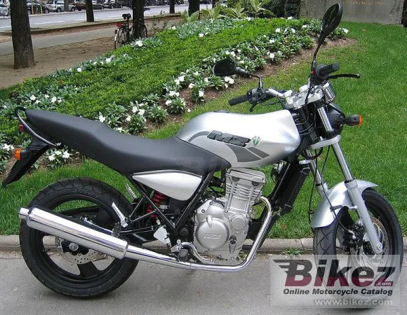 MZ RT 125