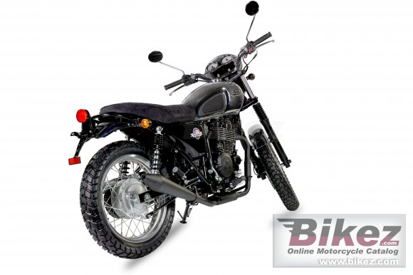 Mash Scrambler 400