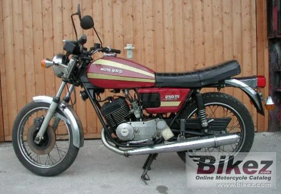 Moto Guzzi 250 TS