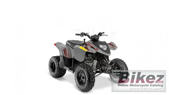 Polaris Phoenix 200