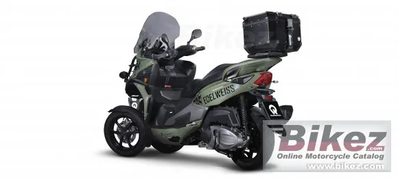 Quadro 3 Edelweiss