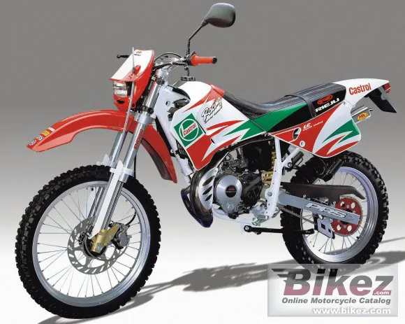 Rieju RR Castrol