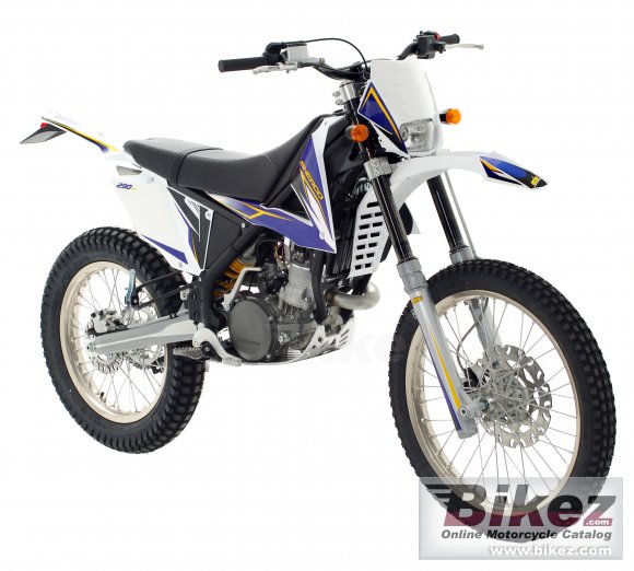 Sherco X-Ride 290