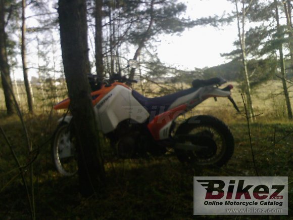 Suzuki DR Big 800 S