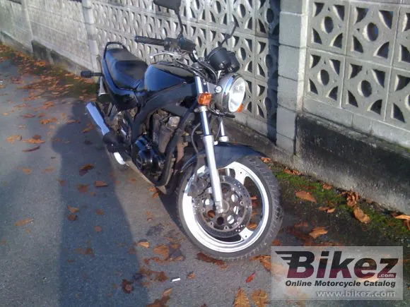 Suzuki GS 500