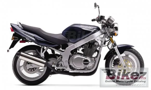 Suzuki GS 500 E