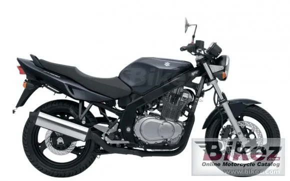 Suzuki GS500