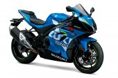 Suzuki_GSX-R1000_ECSTAR_2019