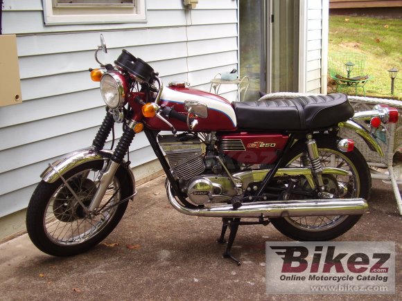 Suzuki GT 250