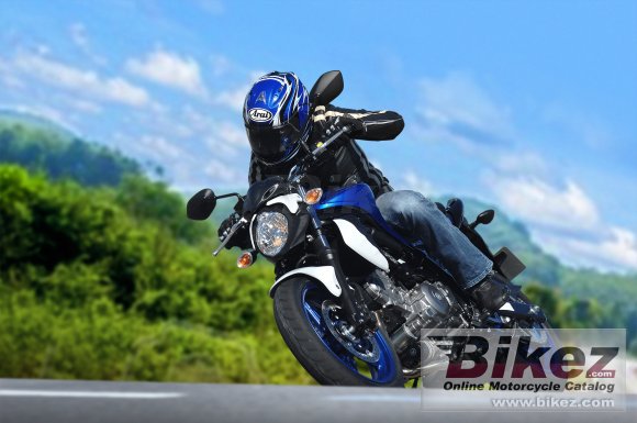 Suzuki Gladius 650