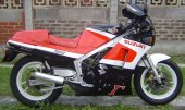 Suzuki_RG_500_Gamma_1988